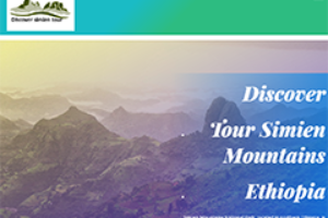 discover simien tours